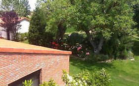 La Alberca